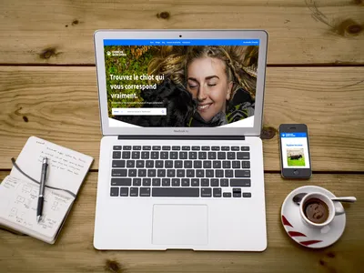 Le site Cherchemonchien affiché sur un ordinateur portable et un téléphone
